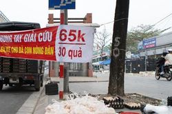 Sự thật đằng sau chiêu 'giải cứu' trứng gà giá siêu rẻ bán tràn lan vỉa hè Hà Nội