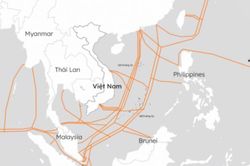 Cả 5 tuyến cáp quang biển gặp sự cố