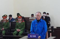 Tài xế say rượu tấn công CSGT ở Hòa Bình lĩnh 12 tháng tù