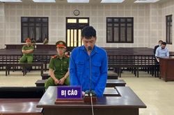 Đối tượng lập công ty 'ma' để buôn lậu động vật quý hiếm xuyên quốc gia lĩnh 13 năm tù