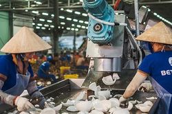 Xuất khẩu nông sản sắp thêm mặt hàng gia nhập 'câu lạc bộ' tỷ USD