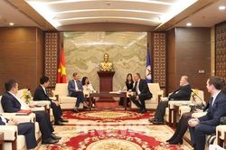 Thúc đẩy hợp tác năng lượng giữa EVN và doanh nghiệp Cộng hòa Séc