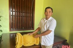 Người nặng lòng với nghề ươm tơ dệt nhiễu Hồng Đô