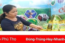 Chuyển đổi số trong sản xuất, kinh doanh chè