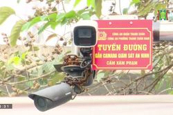 'Camera an ninh' góp phần đảm bảo TTXH (ngày 21/2/2023)