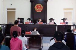Đề nghị xây dựng Luật sửa đổi, bổ sung một số điều của Luật Tổ chức Tòa án nhân dân