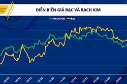 Kim loại quý: Đà phục hồi đầy thách thức trước loạt sức ép