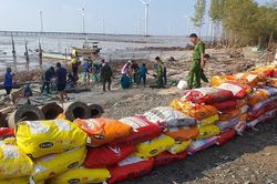 Khắc phục sự cố sạt lở đê Biển Đông đoạn giáp ranh Bạc Liêu-Sóc Trăng