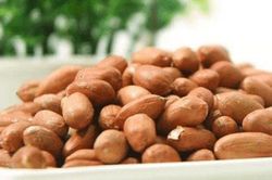 Trong nhà dễ có thứ độc gấp 68 lần thạch tín, đặc biệt mùa nồm ẩm