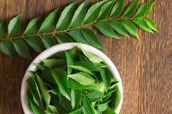 Lợi ích sức khỏe của lá cà ri