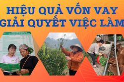 Hiệu quả từ nguồn vốn vay giải quyết việc làm