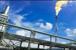 Giá dầu và gas trên thị trường thế giới đua nhau trượt dốc