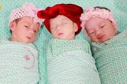 Ca sinh 3 tự nhiên cùng trứng hiếm gặp