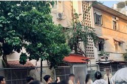Điểm check in nổi tiếng và hành động thiếu ý thức của giới trẻ
