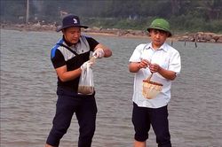 Làm rõ nguyên nhân ngao, hàu chết hàng loạt tại một số địa phương ở Hà Tĩnh