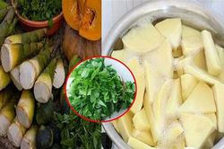 Luộc măng cứ bỏ thêm một nắm này vào nồi, vừa khử sạch chất độc, măng lại giòn ngon gấp nhiều lần