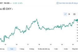 Tỷ giá USD hôm nay 23/2: Đô la tiếp tục 'vững' đà tăng, sắc xanh ngập tràn thị trường trong nước