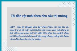 Tái đàn vật nuôi theo nhu cầu thị trường