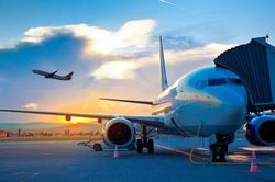 Xuất hiện khỉ ở sân bay Nội Bài, Cục Hàng không chỉ đạo khẩn