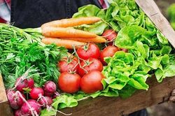 Hiểu đúng về thực phẩm hữu cơ