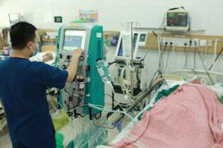 6 người trong một gia đình ngộ độc nấm, một người tử vong