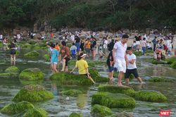 Gành rêu Nam Ô, điểm checkin hấp dẫn của giới trẻ Đà thành