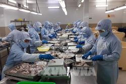 Quy định về kiểm tra, chứng nhận an toàn thực phẩm thủy sản xuất khẩu