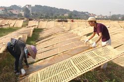 Xây dựng nông thôn mới gắn với bản sắc