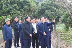 Phát huy vai trò người đứng đầu trong giải phóng mặt bằng xây dựng đường Vành đai 4