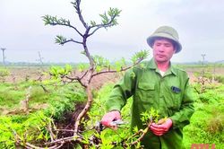 'Điểm tựa' của đồng bào dân tộc xã Xuân Du