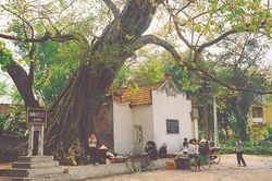 Trong thênh thang của những điều tuyệt diệu