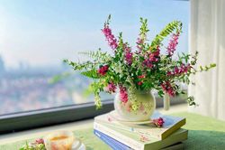 Tử vi hôm nay 26/2/2023 của 12 cung hoàng đạo