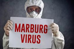 Bệnh nhân Tây Ban Nha nghi nhiễm virus Marburg có kết quả âm tính