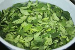 Vò nát rau ngót trước khi nấu là sai lầm: Rau mất chất, món ăn kém thơm ngon, mẹ thông thái chớ bỏ qua
