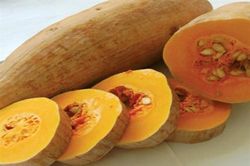 Lý do bà bầu nên thường xuyên ăn bí đỏ?