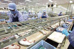 Xuất khẩu thủy sản tăng 44% trong nửa đầu tháng 2/2023