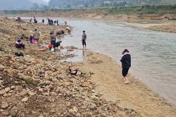 Hàng trăm người dân đổ xô đi đào đá quý rồi 'vỡ mộng' khi biết sự thật