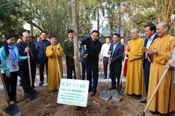 Khởi động dự án 'Trồng cây hướng đến Net Zero'