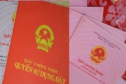 Sổ hồng cấp cho đất hộ gia đình sẽ ghi tên tất cả thành viên?