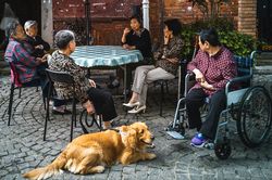 Trung Quốc muốn đảo ngược suy giảm dân số, hãy nhìn vào Thụy Điển