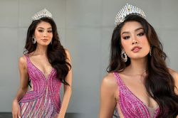 'Mấp mé' mất suất thi Miss Universe, Á hậu Thảo Nhi Lê được netizen gợi ý tham gia cuộc thi khác