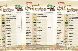 Dạo quanh thị trường 27-2-2023