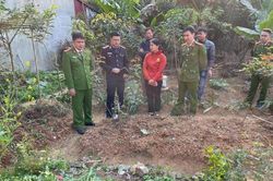 Trồng gần 900 cây thuốc phiện