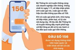 Có thể tra cứu thông tin tên miền qua đầu số 156 từ ngày 1/3
