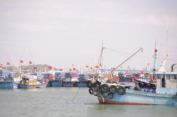 Khẩn trương 'giải cứu' hàng trăm tàu cá kẹt tại Trường Sa đang cạn lương thực