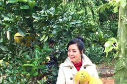 Bên trong khu vườn rộng bạt ngàn cây trái của nghệ sĩ Chiều Xuân