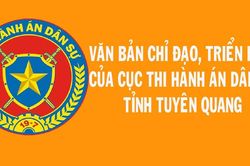 Tuyên Quang: Theo dõi tình hình thi hành pháp luật trong THADS