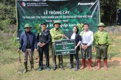 Trồng 6.000 cây giổi xanh tại Khu Bảo tồn thiên nhiên Kim Hỷ