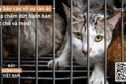 Nhiều địa phương mong muốn chấm dứt buôn bán, sử dụng thịt chó mèo