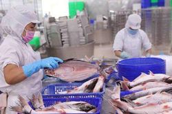 Ngành thủy sản le lói tín hiệu sáng, chăn nuôi vẫn nặng gánh chi phí tăng